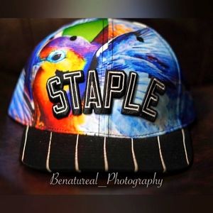 Staple snapback